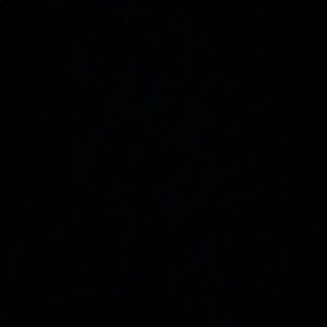 Meet your Posher, Ali